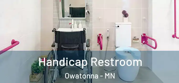Handicap Restroom Owatonna - MN